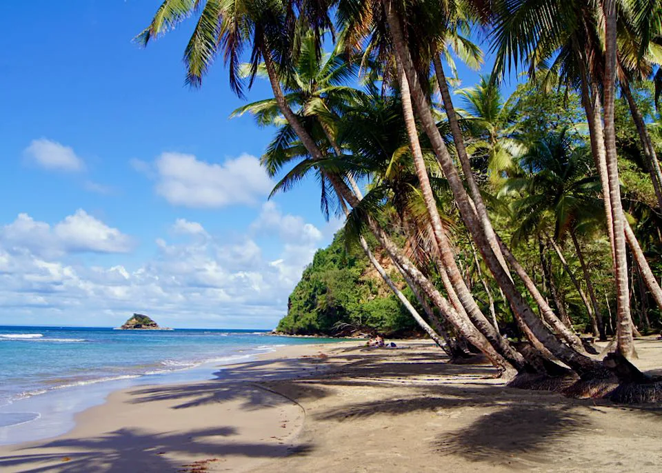 آب و هوای دومینیکا - موسسه حقوقی سام